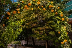 Wedding Decor - Hilton Lac-Leamy - Wedding Ceremony # 1