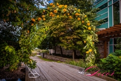 Wedding Decor - Hilton Lac-Leamy - Wedding Ceremony # 1