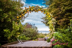 Wedding Decor - Hilton Lac-Leamy - Wedding Ceremony # 1