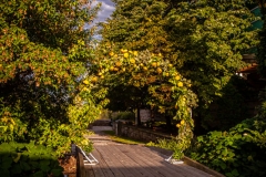 Wedding Decor - Hilton Lac-Leamy - Wedding Ceremony # 1