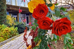 Photo-Oct-29-8-58-17-PM